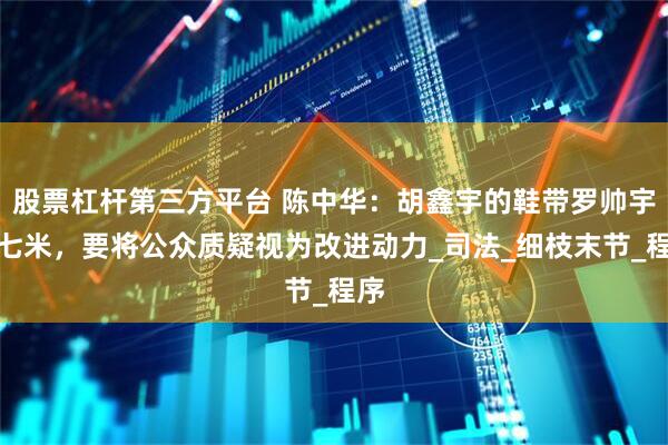 股票杠杆第三方平台 陈中华：胡鑫宇的鞋带罗帅宇的七米，要将公众质疑视为改进动力_司法_细枝末节_程序